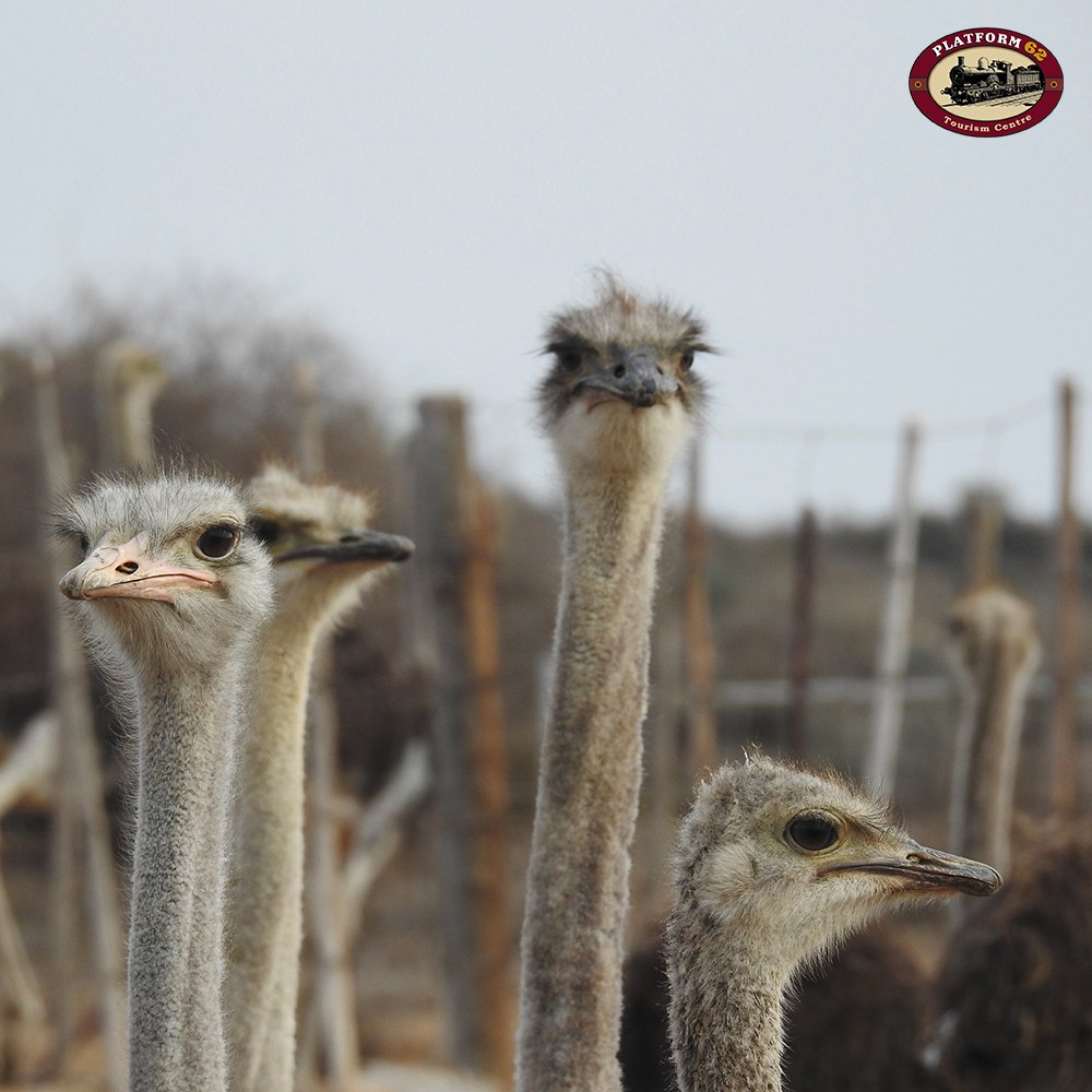 Platform62's tweet image. Just popping into see if you're coming this weekend... #VisitRoute62