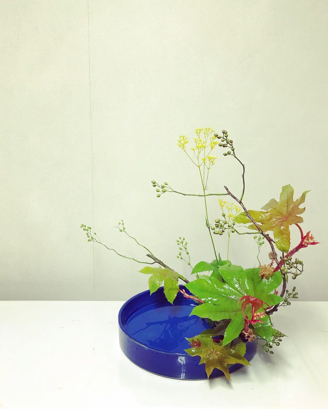 Miporingo 野ばら 唐胡麻 とうごま 女郎花 おみなえし をいけました Ikebana いけばな T Co Mxtgdhshgh Twitter