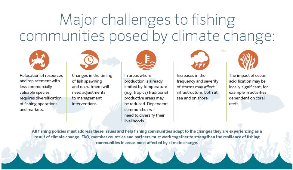 Fisheries & Aquaculture tweet media