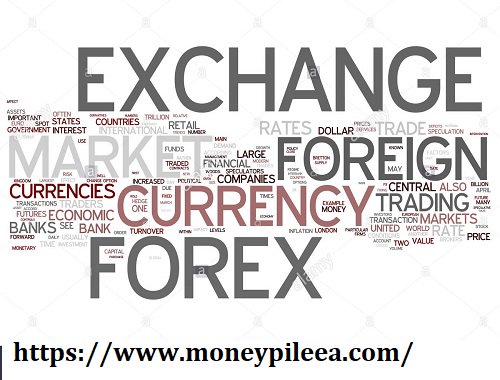 pile_ea's tweet photo. Are you looking for #ForeignExchangeTrading? Execute all your Currency Exchange Trading with one solution and achieve the best execution with #ForexTradingSoftware. 

For more information visit here @ https://t.co/NiCK0KvzHM https://t.co/HVq2mNKgwb