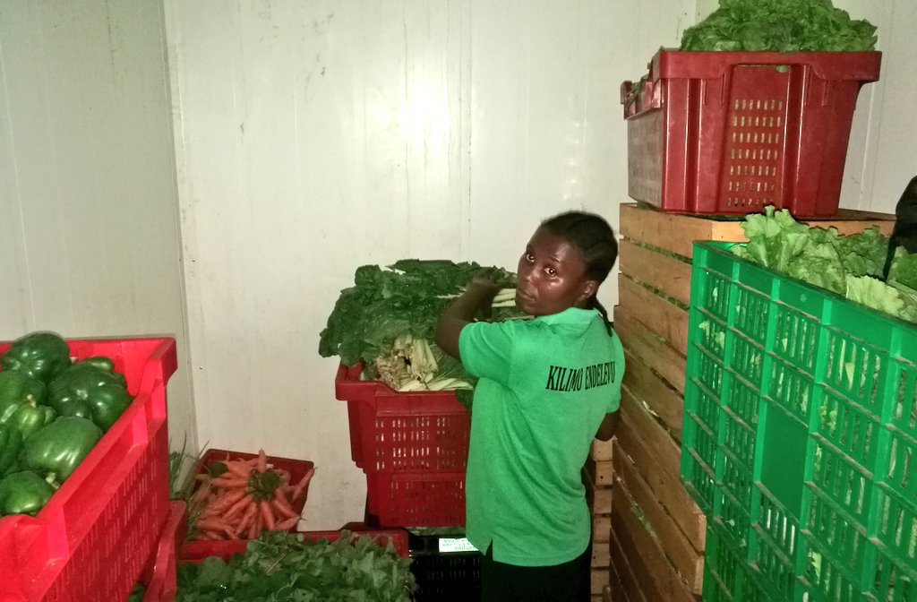 Our cold room is full with organic vegetables, best quality produced by certified organic small scale farmers. They protect our health and our environment! And it's sooooo tasty! #ShibeJanja