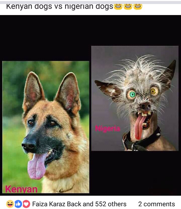 RozeMaina's tweet image. We are too idle for life,this so called beef between Nigeria and Kenya is getting out of hand,at the end of the day we are all Africans lets embrace each others diversity and culture instead of wasting time hurling insults at each other..we are better than this
#kenyavsnigeria