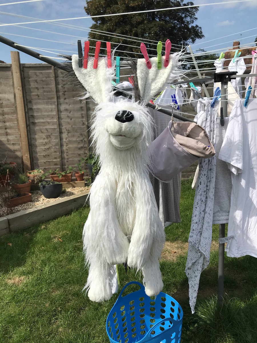 me_and_mylot's tweet photo. I have just washed and brushed a toy dog. I mean.. what has my life come too? #stepmumgoals #goals #reallyliving #stepmum #toydog #dogsoftwitter https://t.co/lnf84HfMmw