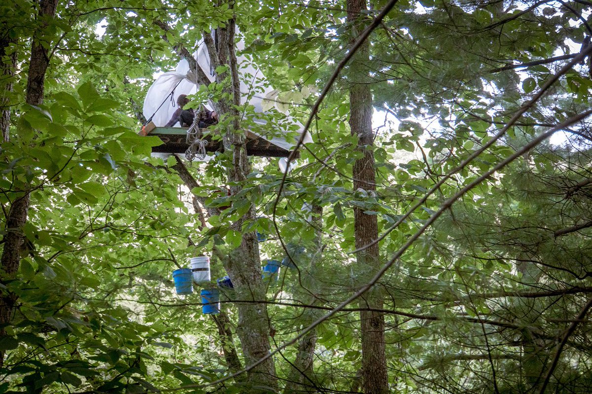 2 new tree sits erected in path of Mountain Valley Pipeline in Virginia. "We have put our trust in a system that has consistently failed to protect people." DONATE: bit.ly/supportmvpresi… #noMVP #noACP #nopipelines #resist #stillhere