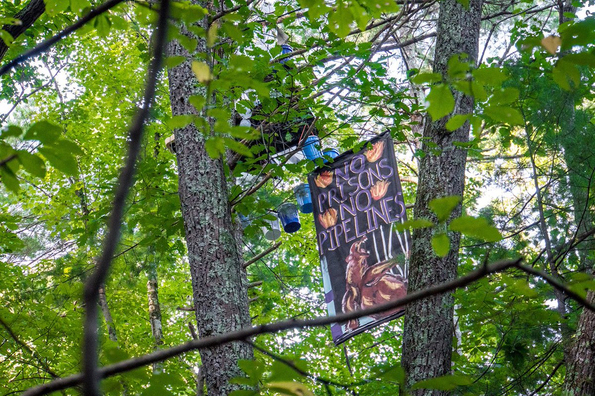 Appalachians Against Pipelines tweet media