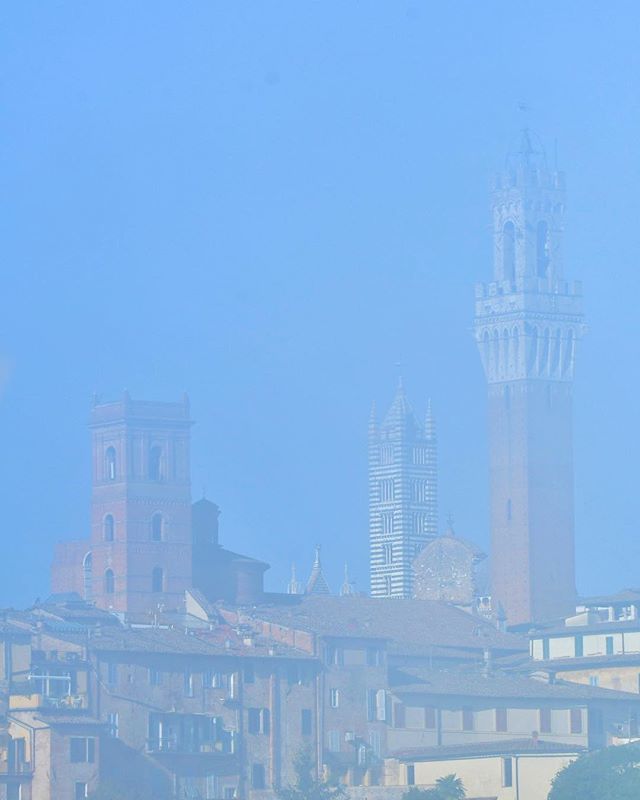 Today morning november fog, now july  sun.. #siena #tuscany
.
.
.
.
.
.
.
.
.
.
#igerssiena #igerstoscana #toscana #withmytamron #tamron150600mm #italia #italy #aroundsiena #instatuscany  #natgeotravel #ilikeitaly #discovertuscany #lovetheworld #bbctrave… ift.tt/2NQzBm0