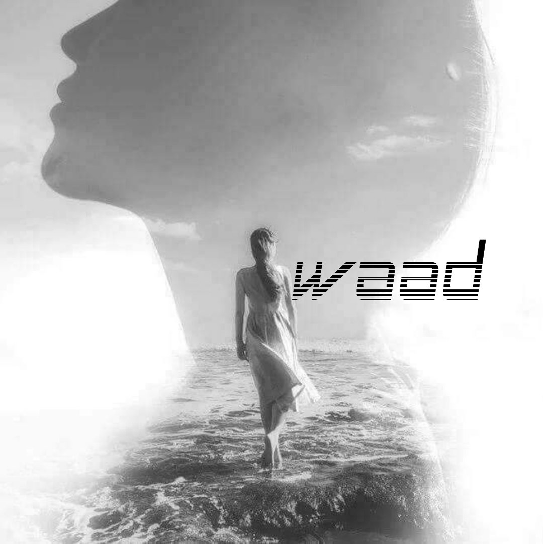 فضحتهم بقع الصدأ ...
أولئك ألذين حاولوا أقناعنا بأنهم ذهـب