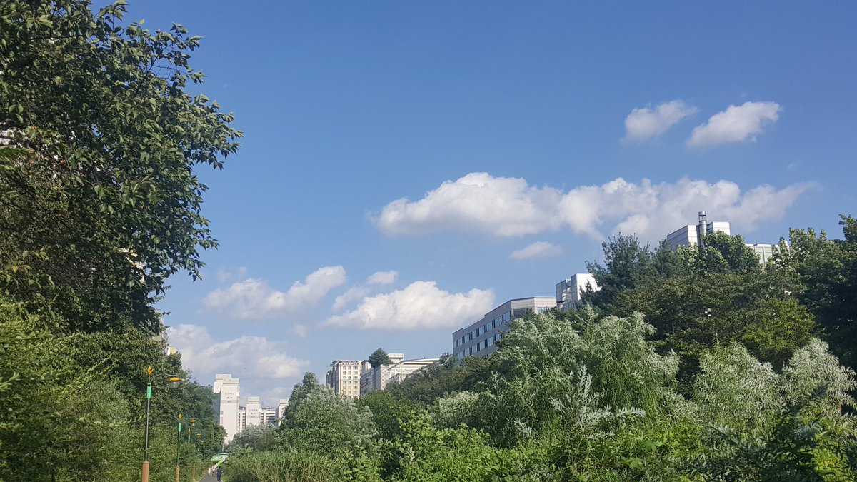 민지홍 tweet media