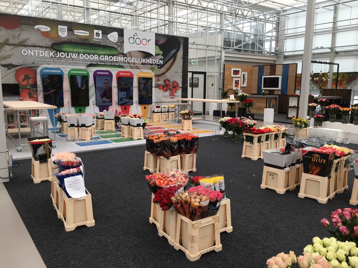 Tomorrow the World Horti Center will be filled with 180 varieties of roses. These roses are not the only in the World Horti Center tomorrow, our Roselily Leona is displayed in our booth as well. The Roselily series is named after two gorgeous flowers: the rose and the lily.
