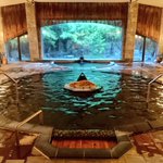 ツイートに含まれる画像