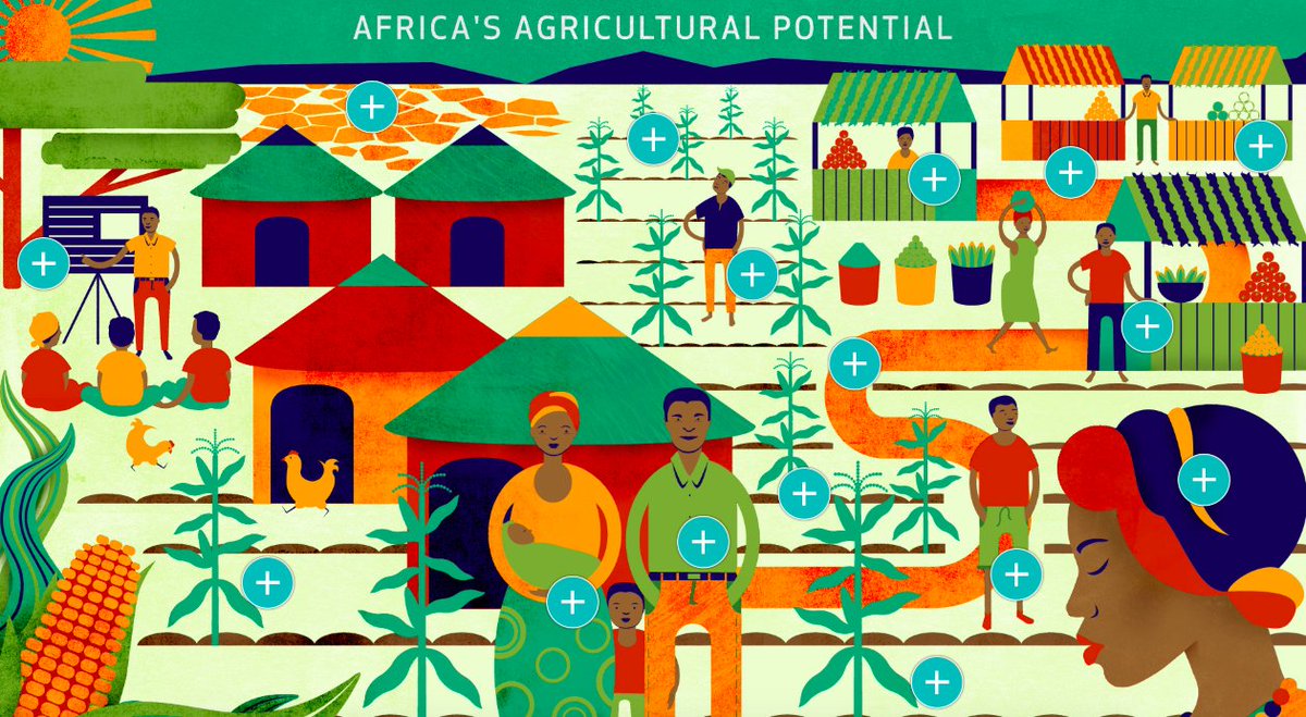 farmingfirst's tweet image. At #AGRF2018? Want to know the facts behind Africa's agricultural potential? Explore our interactive infographic created in partnership with @IFADnews --&amp;gt; farmingfirst.org/africanag/