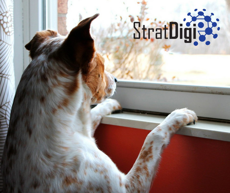 StratDigiSA tweet picture