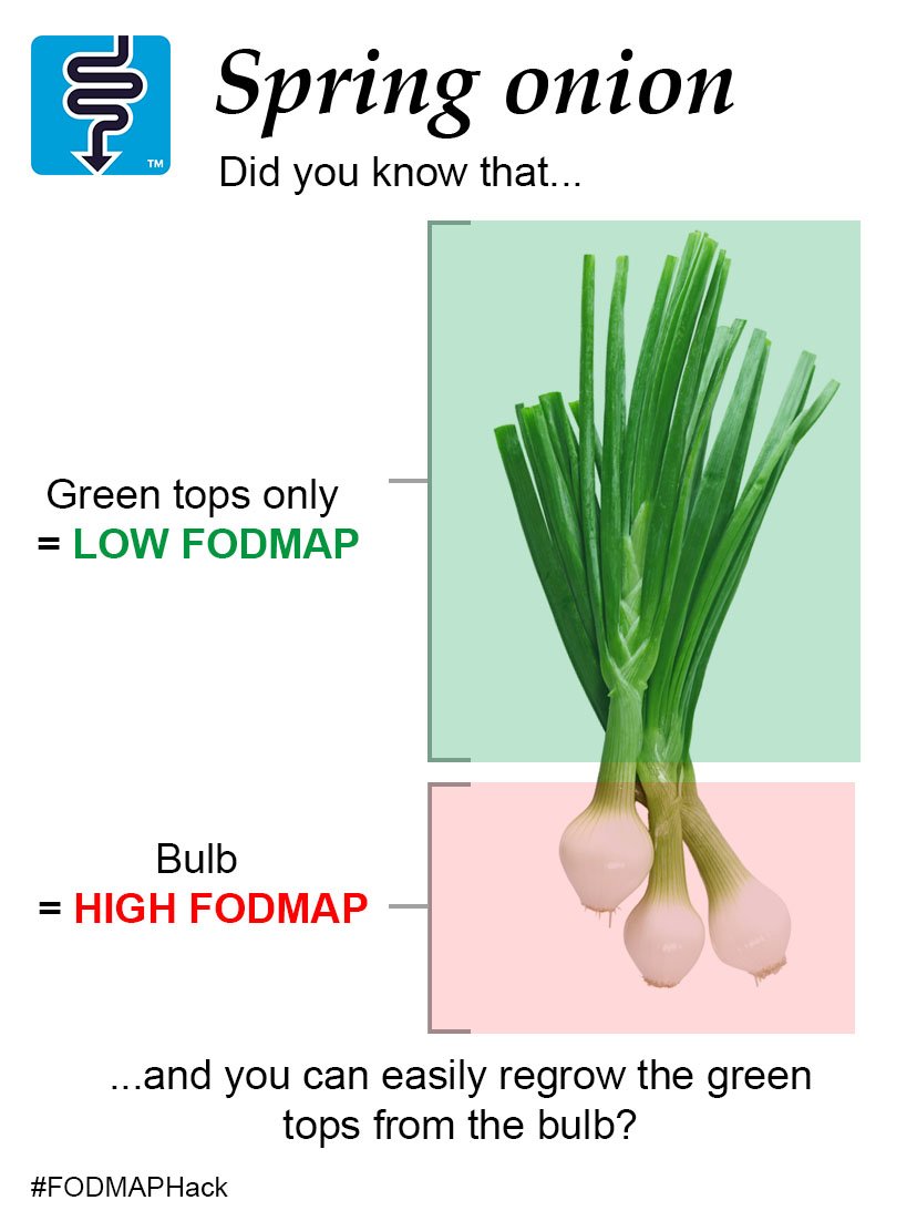 MonashFODMAP's tweet photo. #FODMAPtip Don't discard the high #FODMAP bulb of spring onions! Put in a container, add water, change it often & watch them grow! https://t.co/YKiaF4EKnL