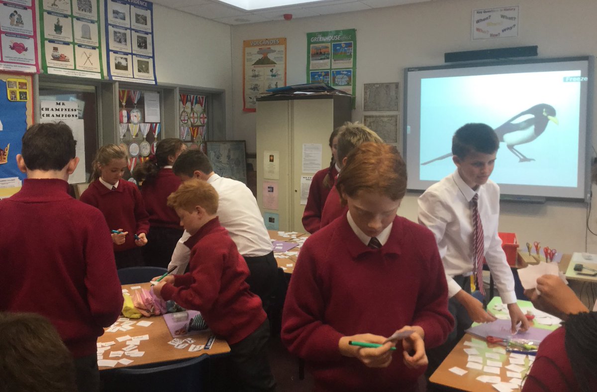 AHPrepHead's tweet photo. Thinking hard together.  Year 8 engaging in a collaborative higher order thinking and decision-making task as part of their first History lesson of the term. #AHPrepLearning #AHPrepYear8  #AHPrepTeamwork https://t.co/DFFZwRIDou