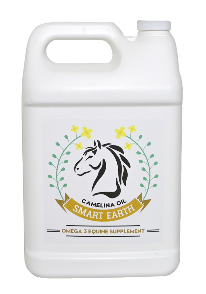 camelina oil for horses canada camelina oil for horses canada