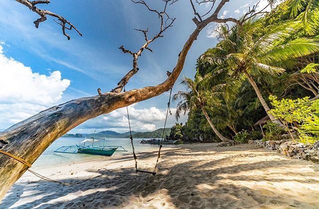 jonathanronzio's tweet photo. How do you define paradise?
.
This little beach on a remote island off El Nido had a basketball hoop fixed to a palm tree, a bar, a boat, bunches of dogs, and this swing. Would that work for you?
.
#elnido #elnidopalawan #exploreinspired #philippines… https://t.co/EYQOeLzVXS https://t.co/lBc4sWvuJr