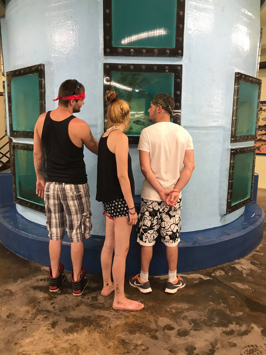 AlpineSpringsRR tweet media