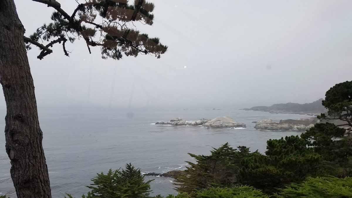 t_jh2009's tweet photo. This morning I decided to have breakfast at the #PacificEdge in #Carmel with a view of both #PointLobos & #YankeePoint. https://t.co/zO7f0kLajj