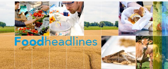 Foodheadlines 10 is uit, de nieuwsbrief over Food in de regio met onder andere masterclass produceren in korte ketens, het recept van Nicole Kleuskens en meer nieuws bit.ly/2oJ2pSq