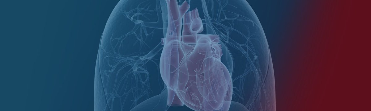 NephroInsight's tweet photo. The Cardiovascular and Renal Benefits of #RAASi Therapy: Overview of the effect of RAASi therapy both on the heart and kidneys in patients with HF and CKD
#ckd #Hyperkalemia https://t.co/lEiN3NKTby https://t.co/lkm18C2se1