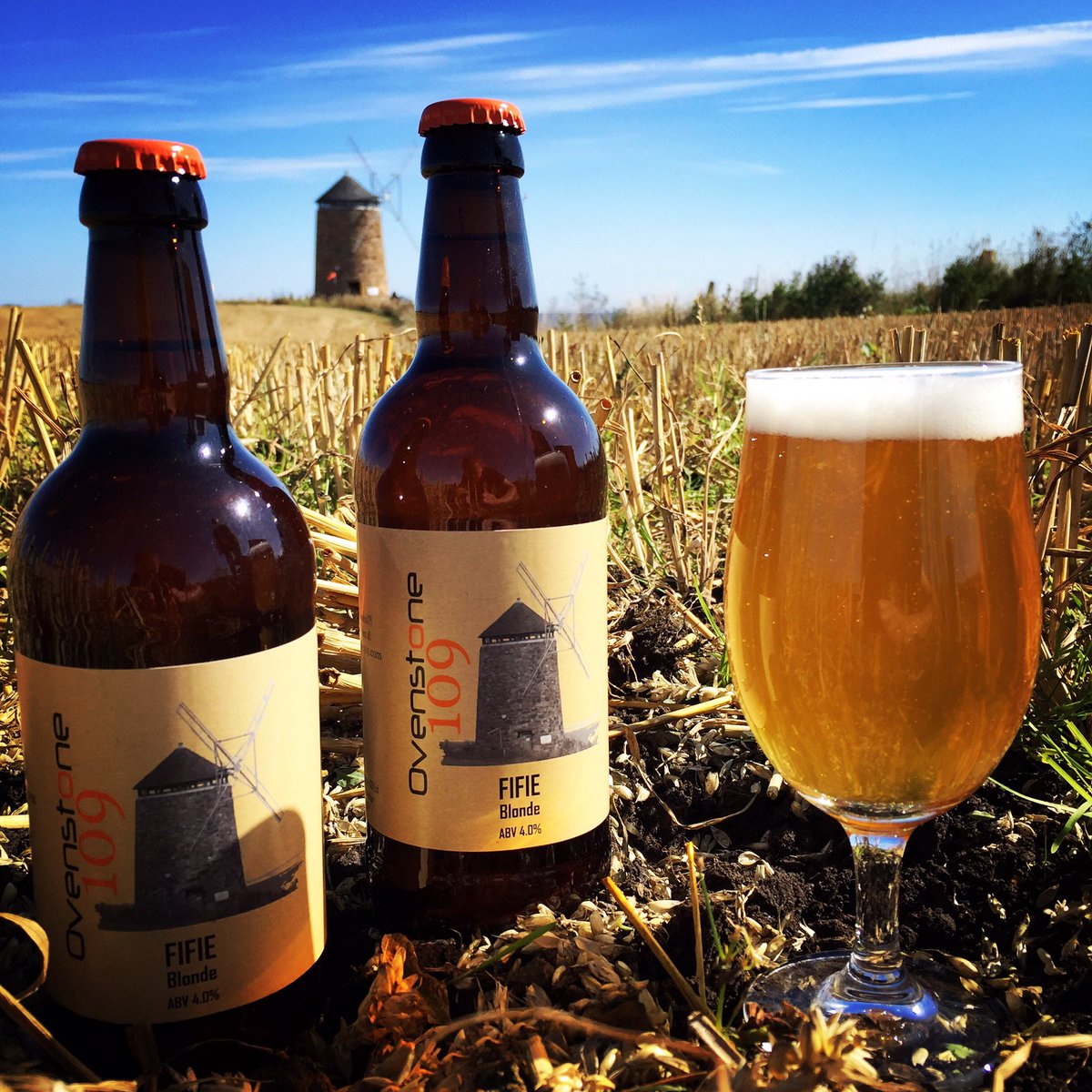 Here it is! Our new BLONDE ALE 'Fifie'! We'll stock our brewery shelves for tomorrow and send stocks to our friendly local outlets for the weekend.