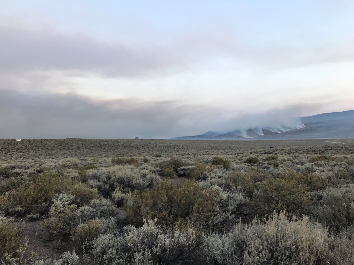 JaneDoe12787036's tweet image. #bootfire Wednesday morning #burchamflat