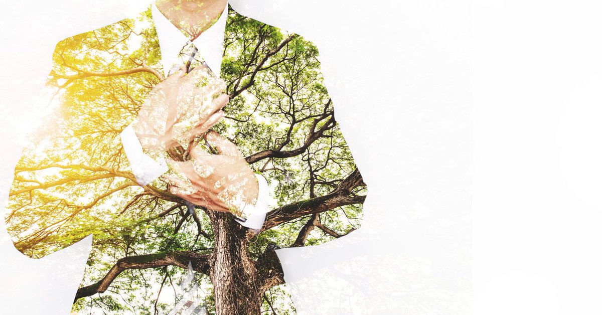 RicohUK's tweet photo. Our Sustainability Optimisation Programme is delivered through a five step consultancy process that offers practical steps toward achieving a zero carbon footprint 🌲https://t.co/6MdFTtEHRz https://t.co/Xv61O52j1j