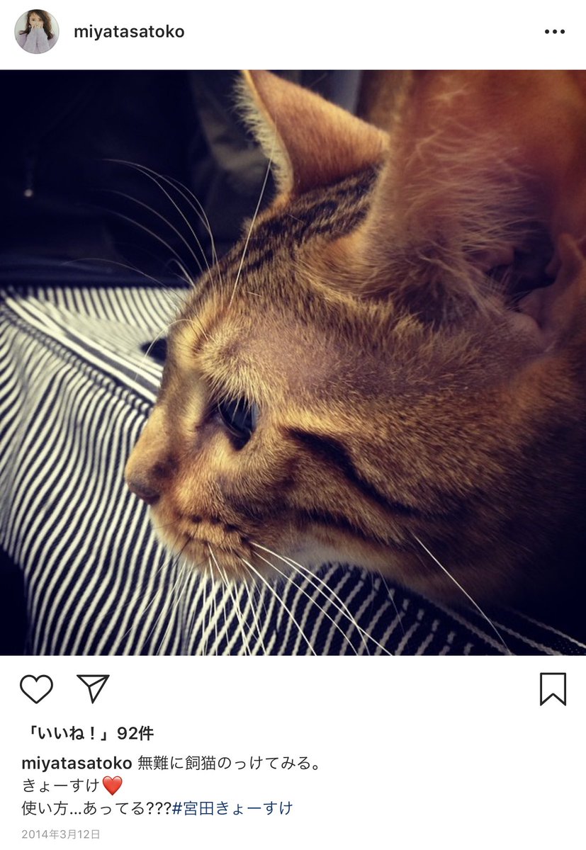 tlpou's tweet photo. ちなみにだけど、宮田さんがインスタにアップしてる一番古いキョースケくんの写真は2014年だから、2人が付き合い始めたであろう2015年には既にキョースケって名前が付いてたことになるので猫の名前の由来が山田さんの名前説はありえないと思われる。 https://t.co/6OxIeKkqCC