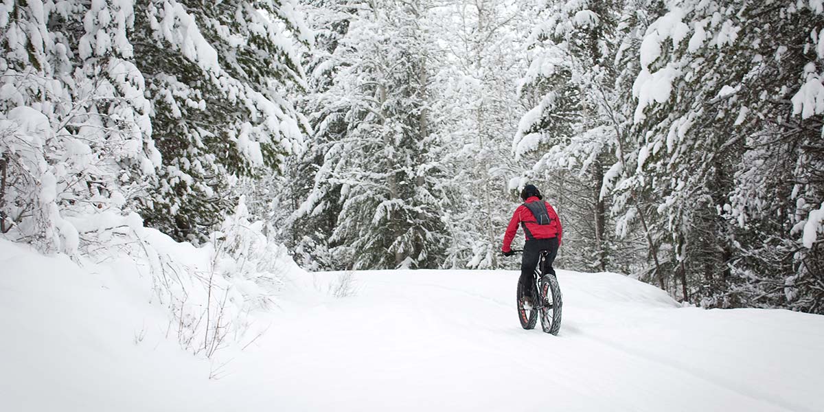 MillerDwan's tweet photo. .#ARTcetera Auction: This adventure includes fat tire bikes & helmets for 4, transportation to and from the trail, a guide, basic tips/tricks for winter riding, cocoa, snacks, & memories to last a lifetime. Thanks @TheDuluthExp for this generous donation! https://t.co/wBq5ThSq5m https://t.co/o35qD8w1D8