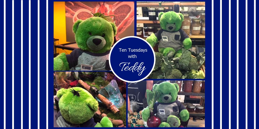 HIExpressSSM's tweet photo. Yesterday, Teddy visited Entomica and the Mill Market!
Remember to visit us on Facebook to enter our #TenTuesdayswithTeddy contest! #agawacanyontourtrain#agawacanyon #solotrattoria #muios #soogreyhounds#thesoo #naturallygifted #ssm #hiexpressssm#10tuesdayswithteddy https://t.co/rA0kr53Fvg
