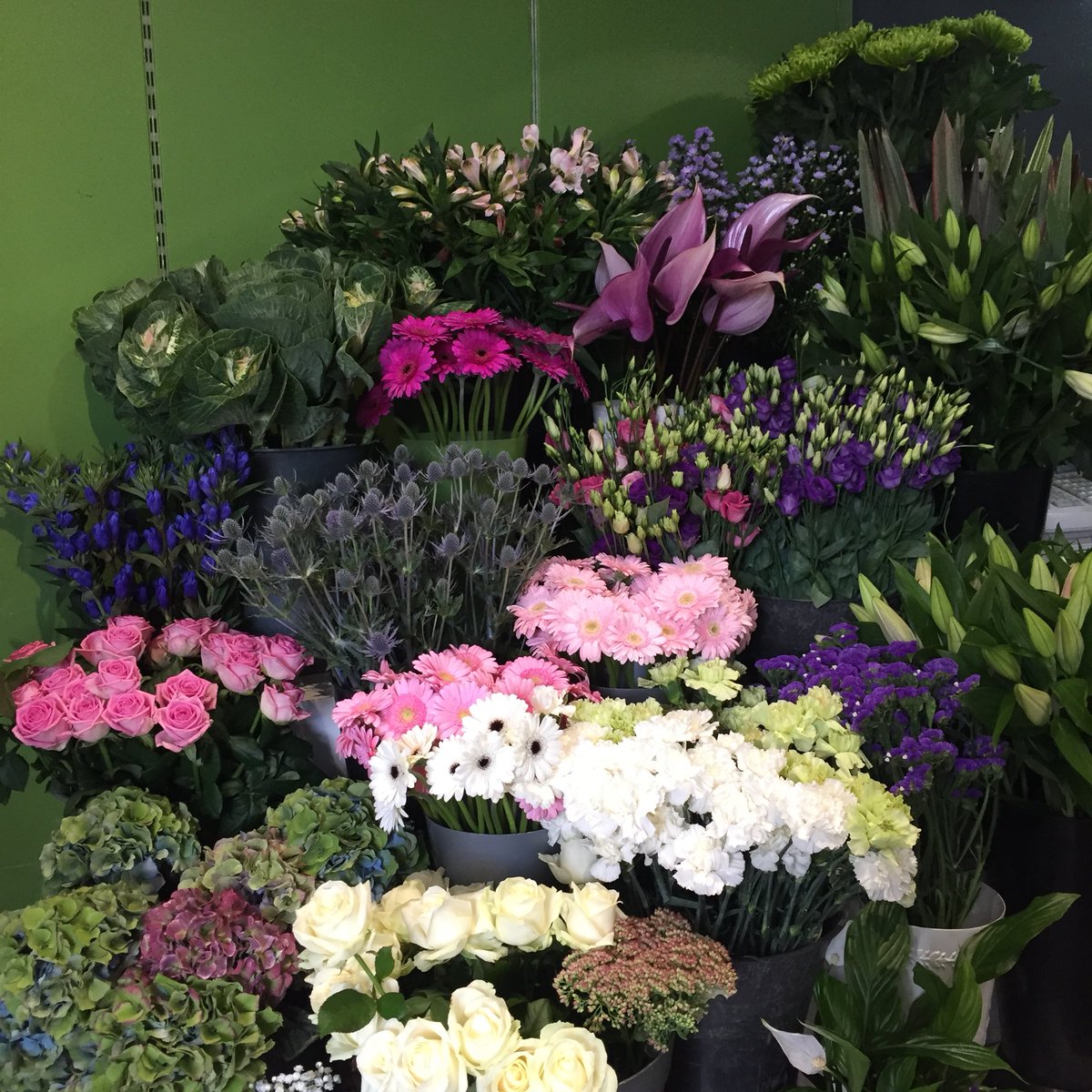 Ken Fraser Florist (KenFraserSale) Twitter