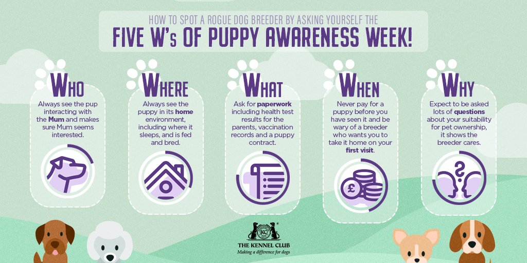 Don't be fooled by a rogue dog breeder... #PuppyAwarenessWeek 

RETWEET to make others aware!