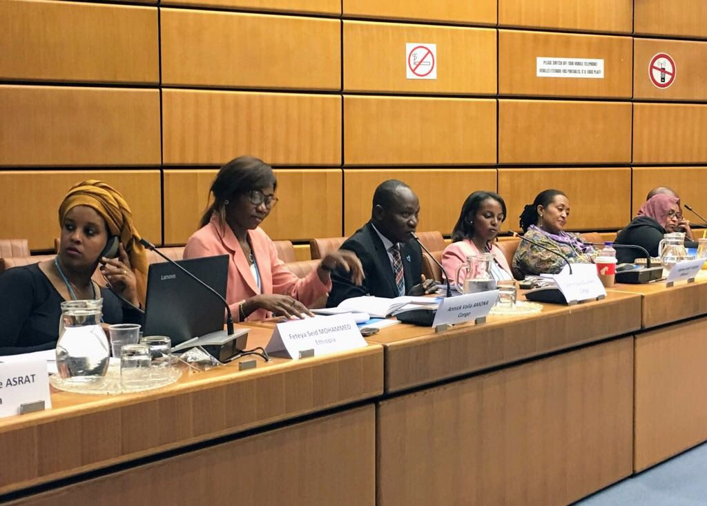UNODC_OrgCrime's tweet photo. 🔛 NOW Pre-accession workshop for 9 East African countries @UNODC #HQ #Vienna 🇦🇹 The aim? For the countries to gain a better understanding of the Convention against Transnational Organized Crime #UNTOC &amp; the 3 Protocols thereto, incl. the Trafficking in Persons #TIP Protocol https://t.co/vZ5ESRFDuG