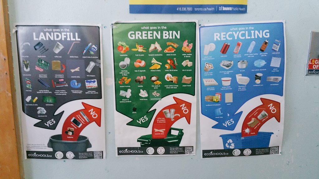 Rickstar_tdsb's tweet image. Exploring Eco-Literacy through math inquiry #datamanagement  #mathstem #ecoschools #explore @EcoSchoolsTDSB @IonviewPS