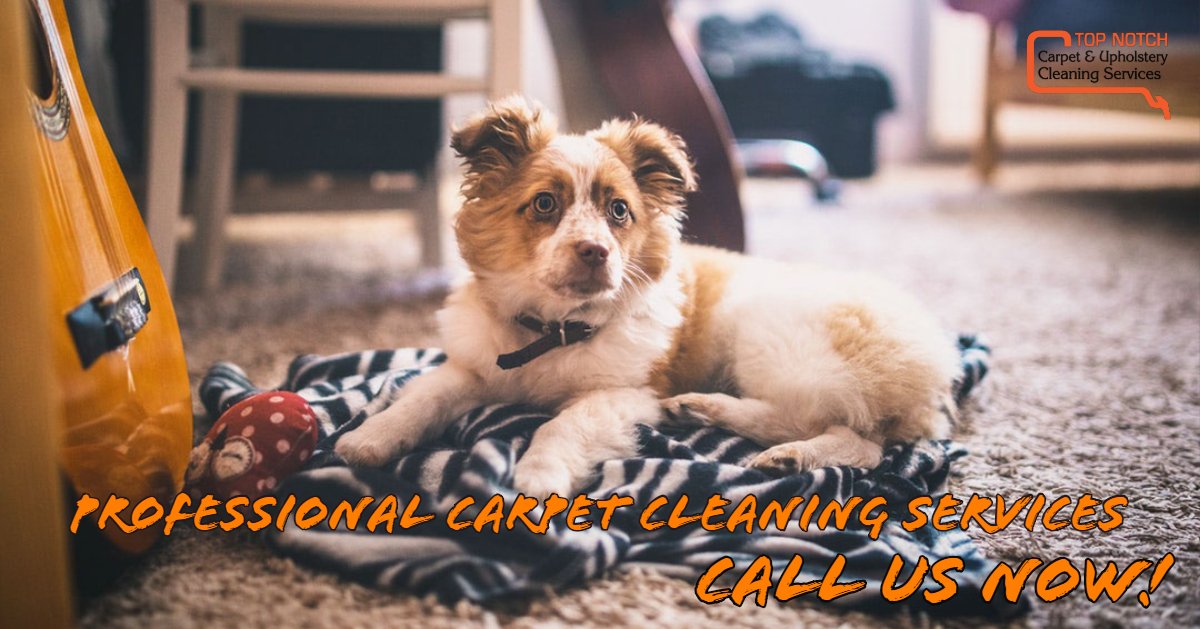 Top Notch Carpet & Upholstery Cleaning Services (TNCarpet) Twitter