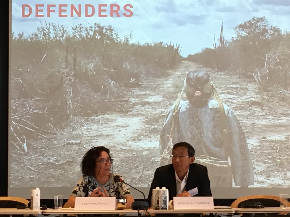 We have made progress in terms of instruments, policies, frameworks but situation at local level too often remains the same. We need action and alliances @LgaAlix at #DefendingDefenders