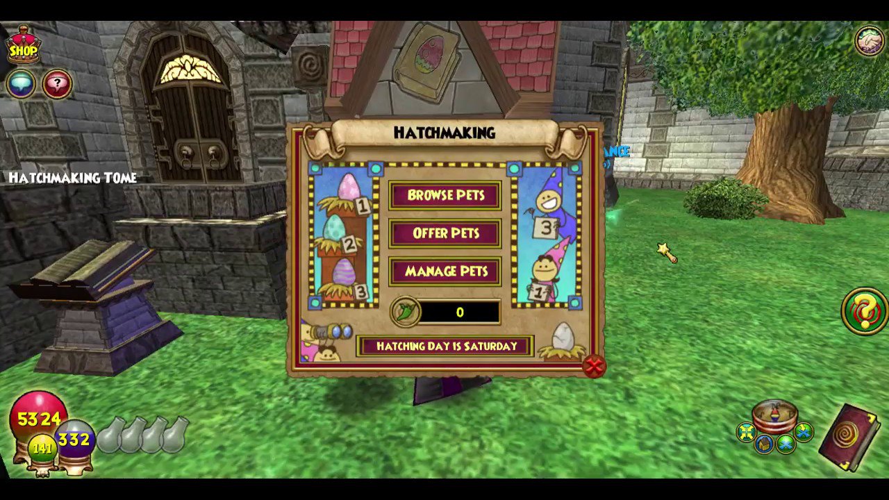 #Wizard101” .