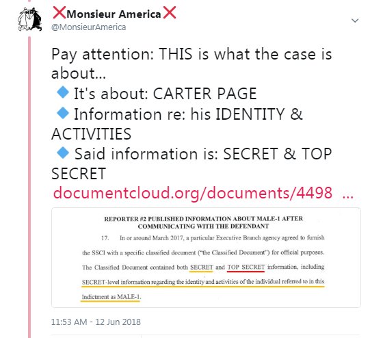 97) V of IX: Both Carter Page & Felix Sater’s identities are protected at great expense by the Federal government.  https://twitter.com/MonsieurAmerica/status/1006610465873543168 https://twitter.com/MonsieurAmerica/status/1037424615310553088