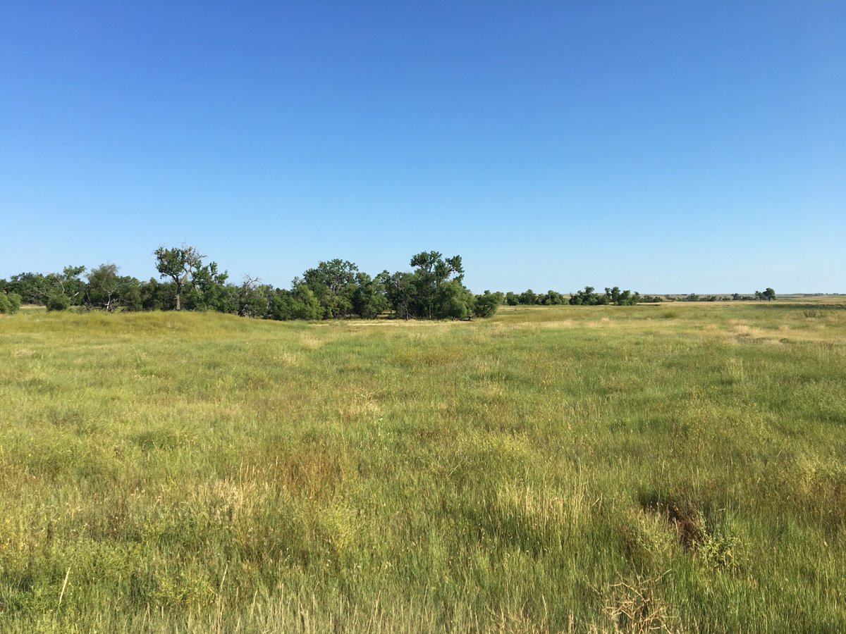 Lashley Land (LashleyLand) Twitter