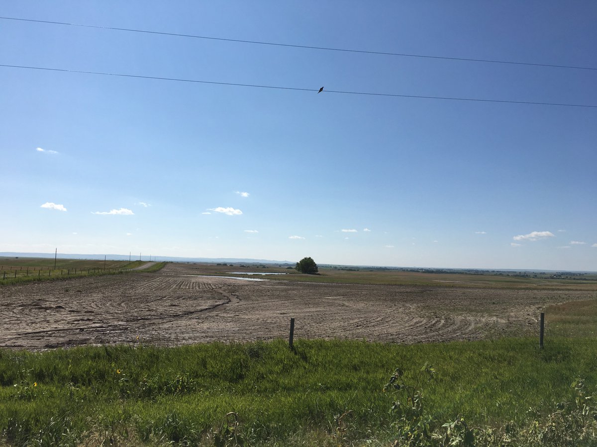 Lashley Land (LashleyLand) Twitter