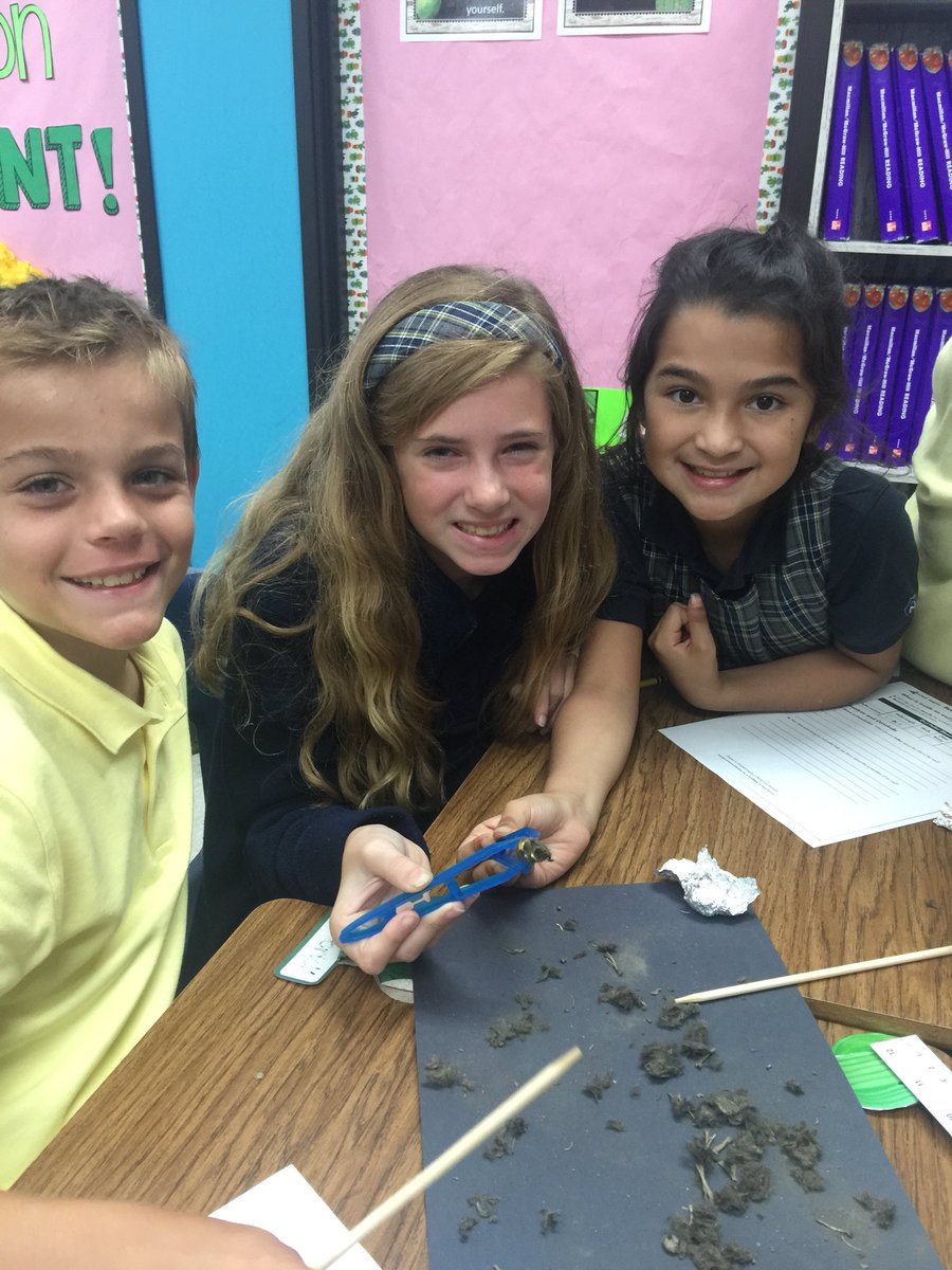 NCS_Trojans's tweet photo. Students in 4th grade examined and classified the contents of an owl pellet today. Students discovered through scientific observation the bones, skulls, fur, and feathers. #interactivesciencecurriculum #handsonlearning #scienceobservation #homeatncs #jointhencsfamily https://t.co/xpBgrVWzYC