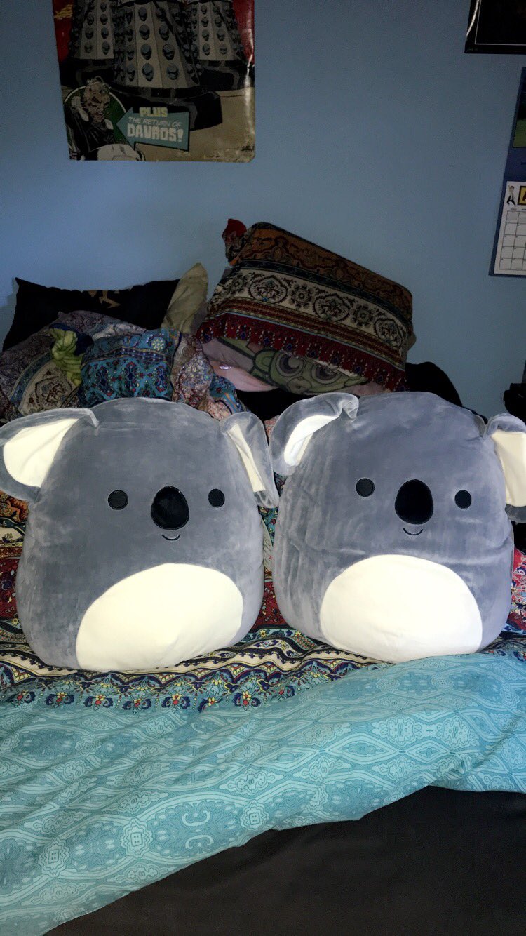 squishmallows koala