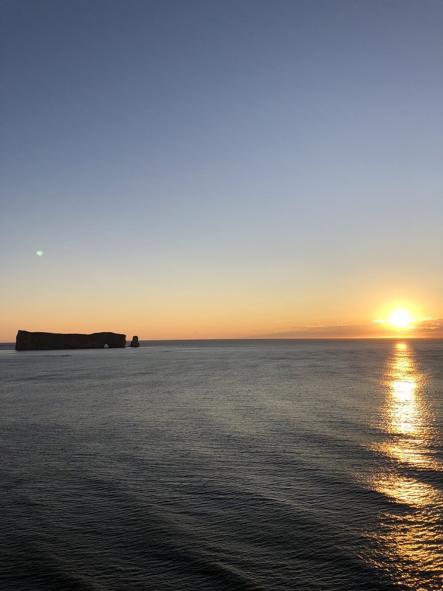 Découverte Monde tweet media