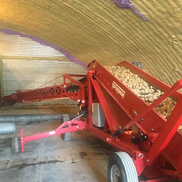 Heppell's Potato tweet media