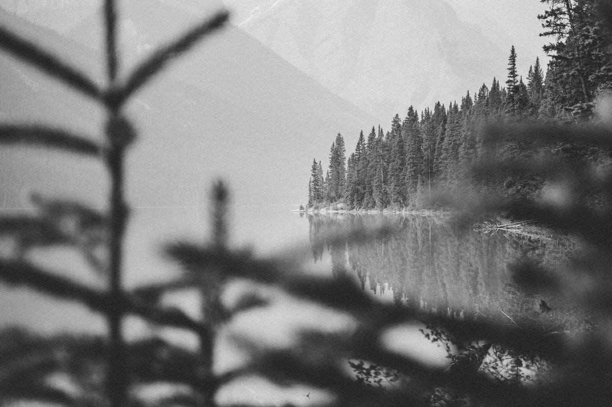 trentwarren22's tweet photo. Missing Canada right now #travel #photography #travelphotographer #bannf #canada https://t.co/C6GfuVsGFn