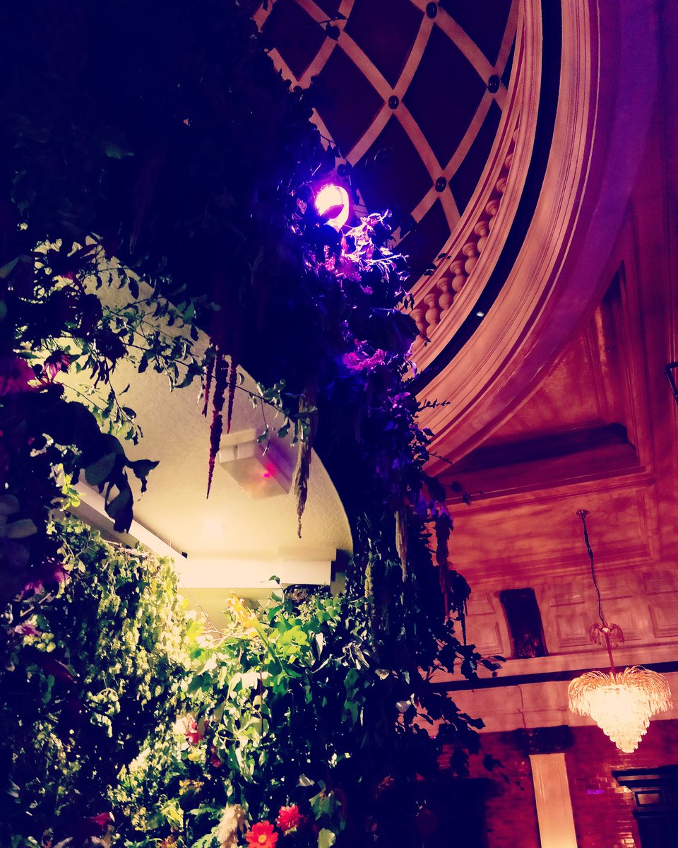 LyeThierry's tweet photo. FLOWER ATTACK!
First the new #floral #conehat for Duke of Wellington, then the visit to #floraboration2 installation at @TheSavingsBank this evening, I'm having strong connection to the power of nature this week! 🌹🌻🌷
#glasgowlife #glasgowart #ilovegla #floralartistry https://t.co/WhgpRHuQHO