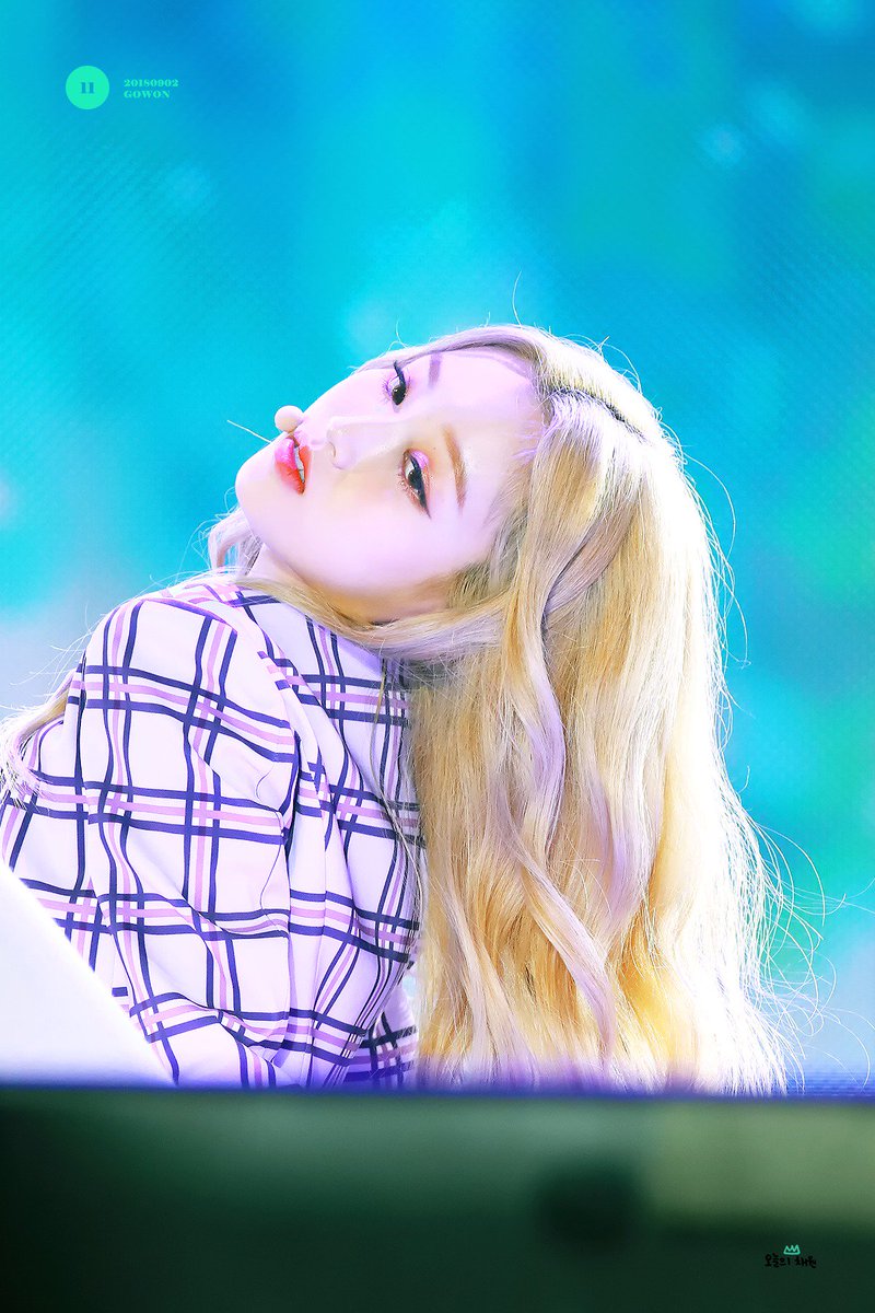 오늘의 채원 tweet media