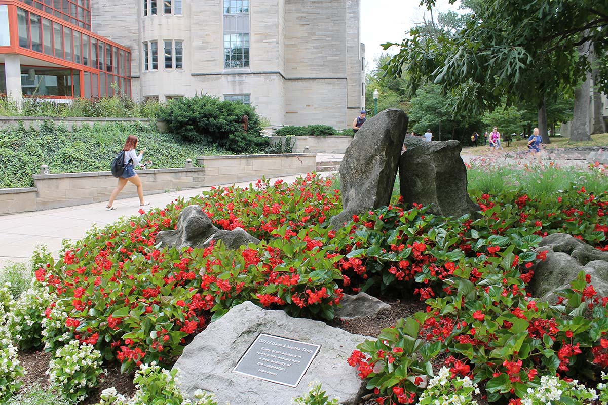 BiologyPrograms's tweet image. Looking for tweets from Indiana University Department of Biology? Follow @IUBiology.