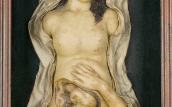 Drama Cada madrugada, al despertarse, ocurre lo mismo: es consciente de que millones de células se le están muriendo. Entonces grita. Da un alarido espantoso. Se sienta en la cama y siente los millones de agonías que a un mismo tiempo se están... fernandoloygorri.com/Drama_a1812.ht…