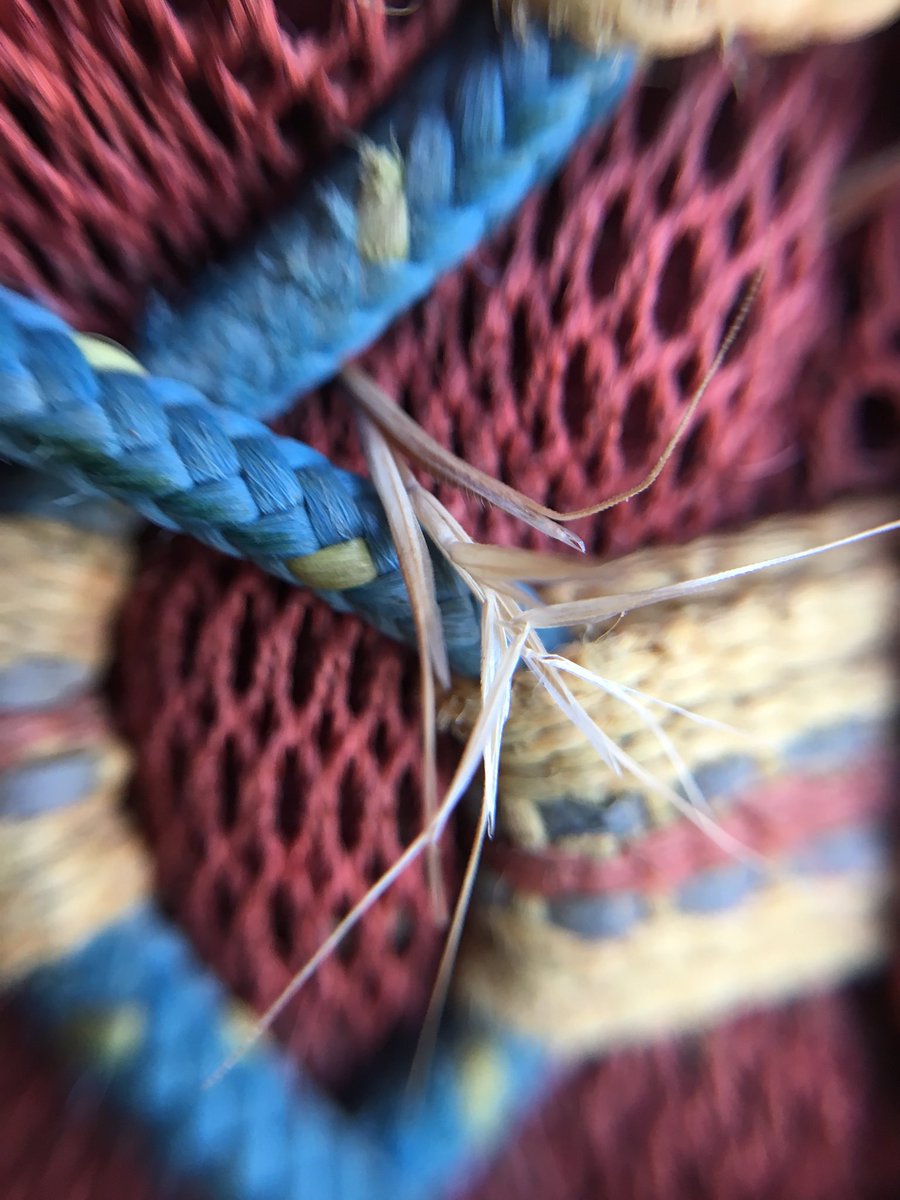 PlayCleanGo's tweet photo. RT @LRinvasives: The last days of summer are perfect for hiking. Check your shoes for hitch-hiking seeds from invasives. Bag the burrs and seeds and dispose of them in the garbage. @PlayCleanGo #stopthespread #lriss #hike #lovelillooet #beautifulbc https://t.co/Zz9ISoy463